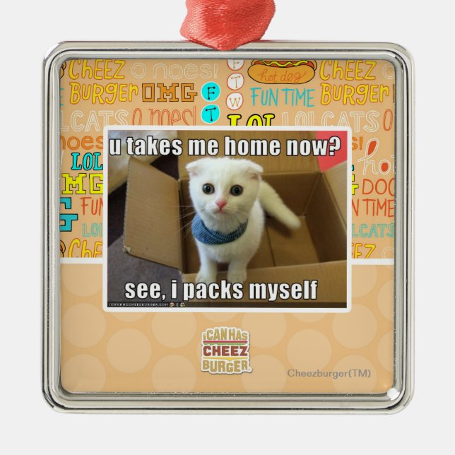 Ornement Métallique U me prennent à la maison maintenant ? (Devant)