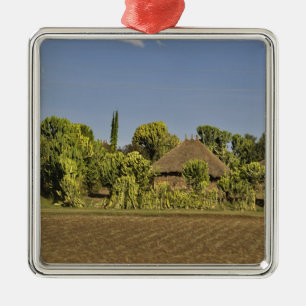 Ornement Métallique Un champ cultivé devant des maisons à toit de chau