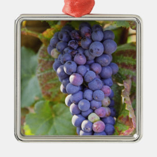 Ornement Métallique Une grappe de raisins Pinot Noir dans un Chamberti