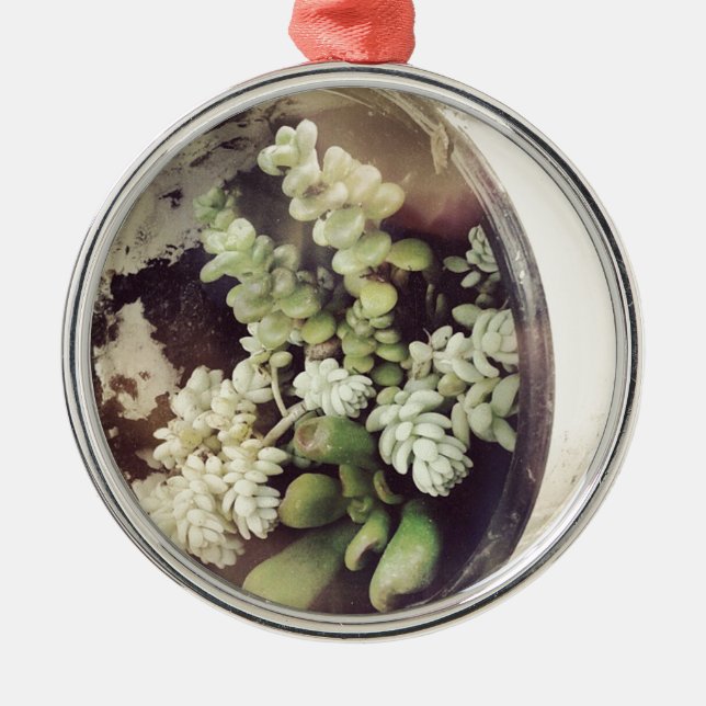 Ornement Métallique Une tasse remplie de plantes succulents (Devant)