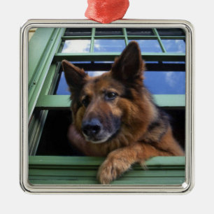 Ornement Métallique USA, Oregon, Portland. Griffez les cheveux longs