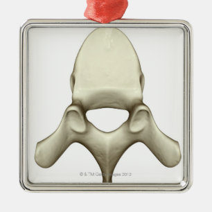 Ornement Métallique Vertèbres