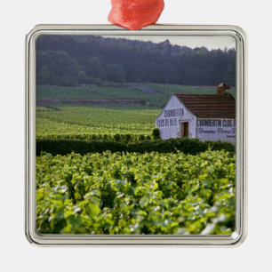Ornement Métallique vignoble Chambertin Clos de Bèze Grand Cru avec