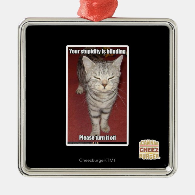 Ornement Métallique Votre stupidité est aveuglante 2 (Devant)