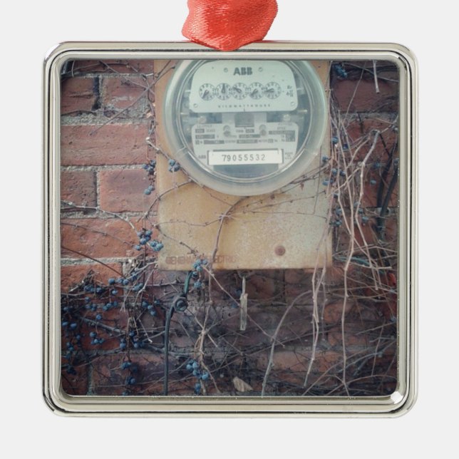 Ornement Métallique Vue arrière de la rue (Devant)