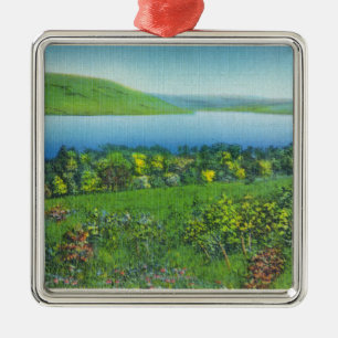 Ornement Métallique Vue de point de Sénèque du lac