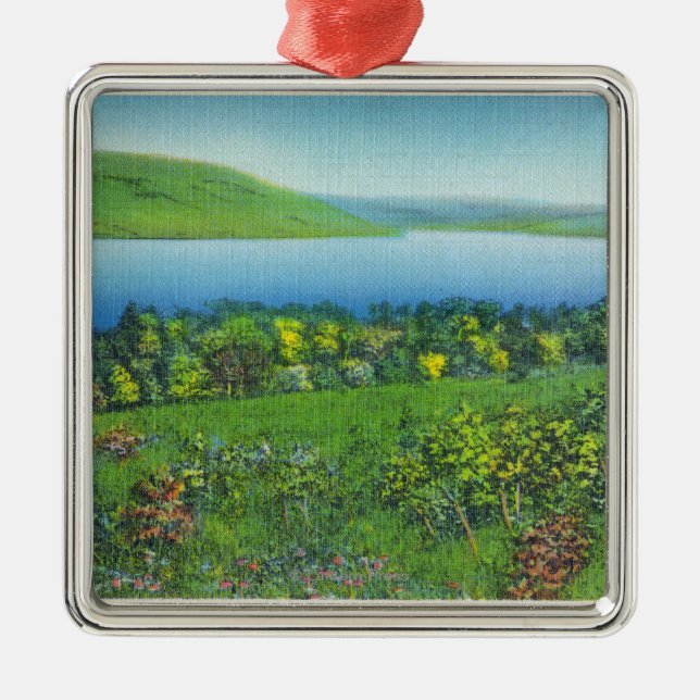 Ornement Métallique Vue de point de Sénèque du lac (Devant)