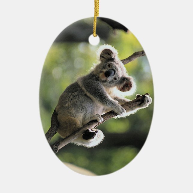 Ornement mignon de koala (Devant)