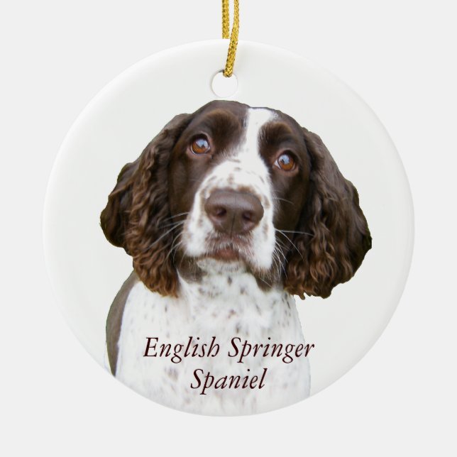 Ornement mignon de Noël d'épagneul de springer (Devant)
