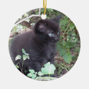 Ornement noir de chaton