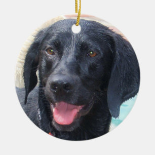 Ornement noir de Labrador