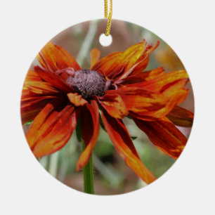 Ornement orange Black Eyed Susan Flower