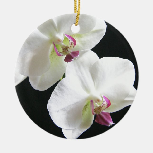 Ornement Orchidées blanches sur noir (Devant)