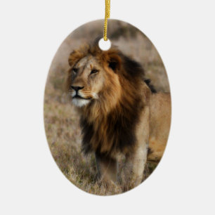 Ornement Ovale En Céramique African Lion