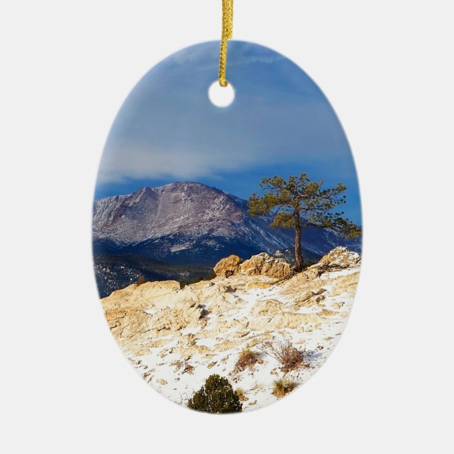 Ornement Ovale En Céramique Arbre solitaire (Devant)