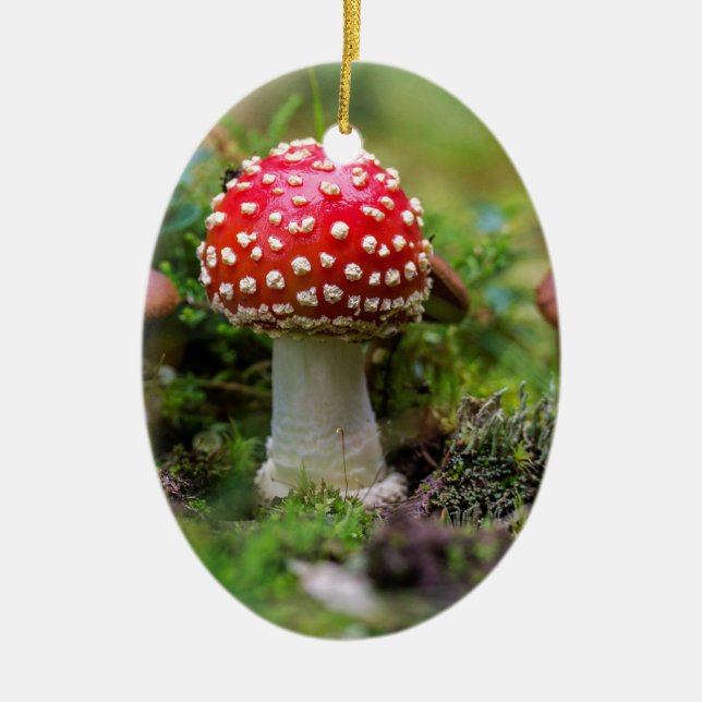 Ornement Ovale En Céramique Beauté d'automne (Devant)