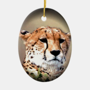 Ornement Ovale En Céramique Cheetah Tear Marks Hakunamatata