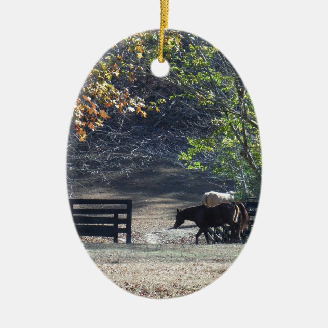 Ornement Ovale En Céramique Cheval Brown à pied à travers la clôture (Devant)