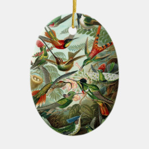 Ornement Ovale En Céramique Colibri