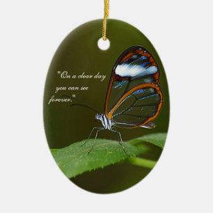 Ornement Ovale En Céramique Conception de papillon de Glasswing "temps clair"
