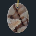 Ornement Ovale En Céramique Coquillages d'été ensoleillés, Sea Shell Beach Lov<br><div class="desc">Coquillages d'été ensoleillés,  Sea Shell Beach Love</div>