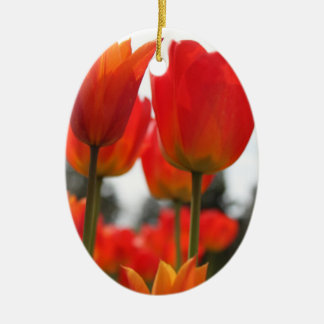 Ornement Ovale En Céramique De Belles Fleurs De Tulipes Rouges.