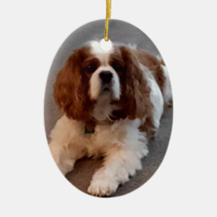 Ornement Ovale En Céramique Épagneul cavalier adorable du Roi Charles