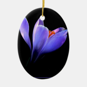 Ornement Ovale En Céramique Fleur CROCUS pourpre