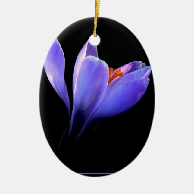 Ornement Ovale En Céramique Fleur CROCUS pourpre (Devant)