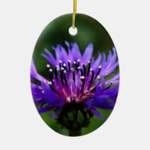 Ornement Ovale En Céramique Fleur de Bleuet Fleurs de Bleuet Paix Amour Destin