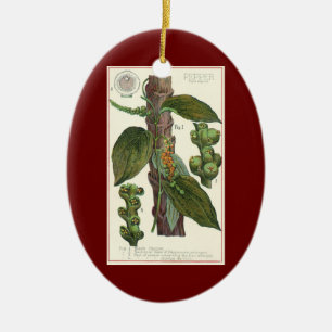 Ornement Ovale En Céramique Herbes et épices alimentaires vintage, plante de p