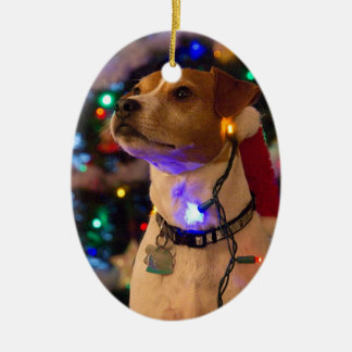 Ornement Ovale En Céramique Howlidays heureux !