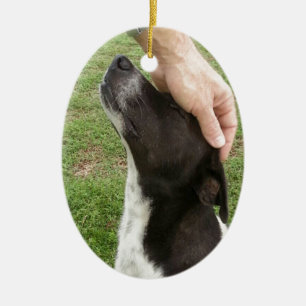 Ornement Ovale En Céramique Le chien sont le meilleur ami d'un homme !
