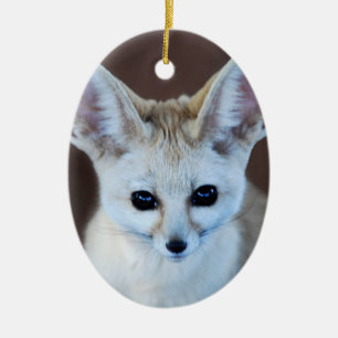 Ornement Ovale En Céramique Le Fox de Fennec le plus mignon des mondes