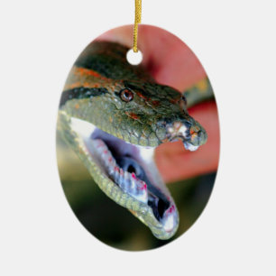 Ornement Ovale En Céramique Les mâchoires de serpent d'Anaconda s'ouvrent et e