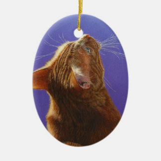 Ornement Ovale En Céramique Lumière orange #2 d'ange de chat tigré