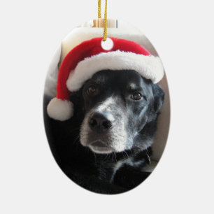 Ornement Ovale En Céramique Mélange de rottweiler de Père Noël Chien-Labrad