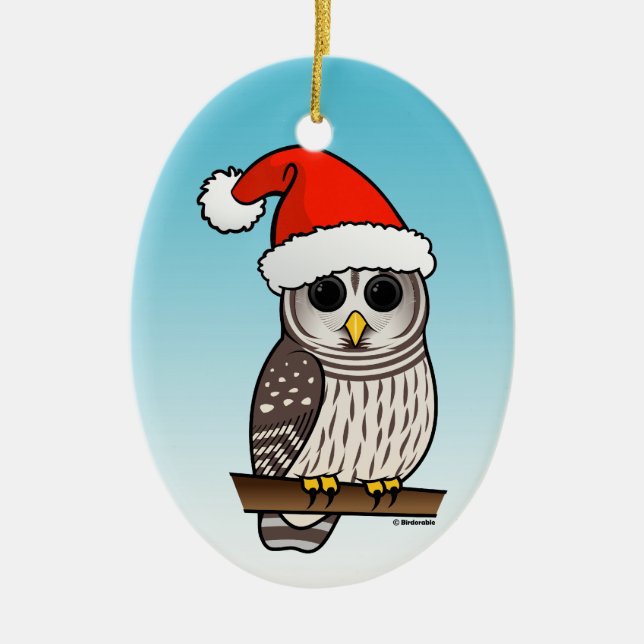 Ornement Ovale En Céramique Noël de hibou barré de Père Noël (Devant)