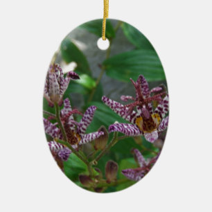 Ornement Ovale En Céramique Orchidée blanche rayée violette rose comme lys de 