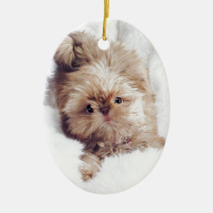 Ornement Ovale En Céramique Penny le foie orange Shih Tzu sur le nuage 9