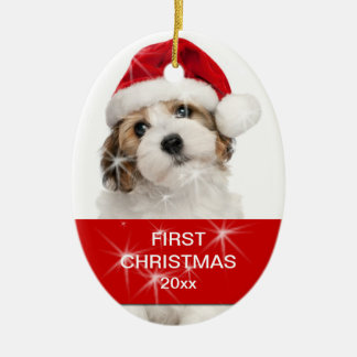 Ornement Ovale En Céramique Photo de Noël personnalisée pour animaux familiers