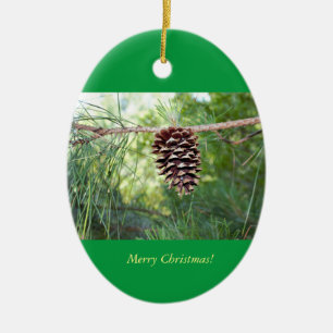 Ornement Ovale En Céramique Photo Pinecone