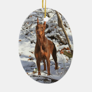 Ornement Ovale En Céramique Pinscher de dobermann en ornement de neige
