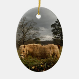 Ornement Ovale En Céramique Poney miniature blond / Cheval