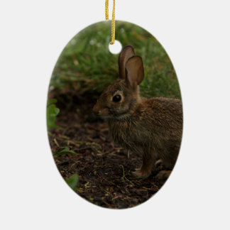 Ornement Ovale En Céramique Ressort/Pâques : Poussin, lapin