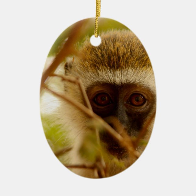 Ornement Ovale En Céramique Singe effronté. (Devant)