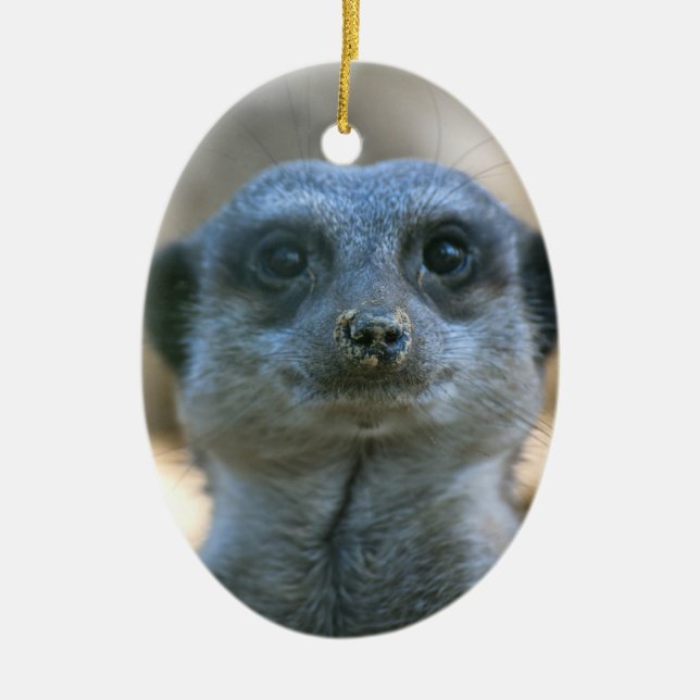 Ornement Ovale En Céramique Suricate (Devant)