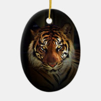 Tigre