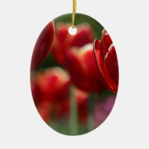 Ornement Ovale En Céramique Tulipes