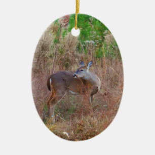 Ornement Ovale En Céramique Un cerf dans l'herbe haute